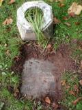 image of grave number 723985